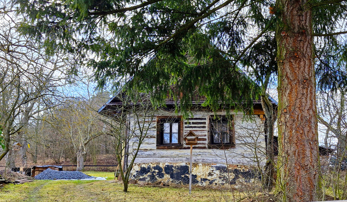 FOTO DNE 24.2.: Libuše Hvězdová - Na Práčově