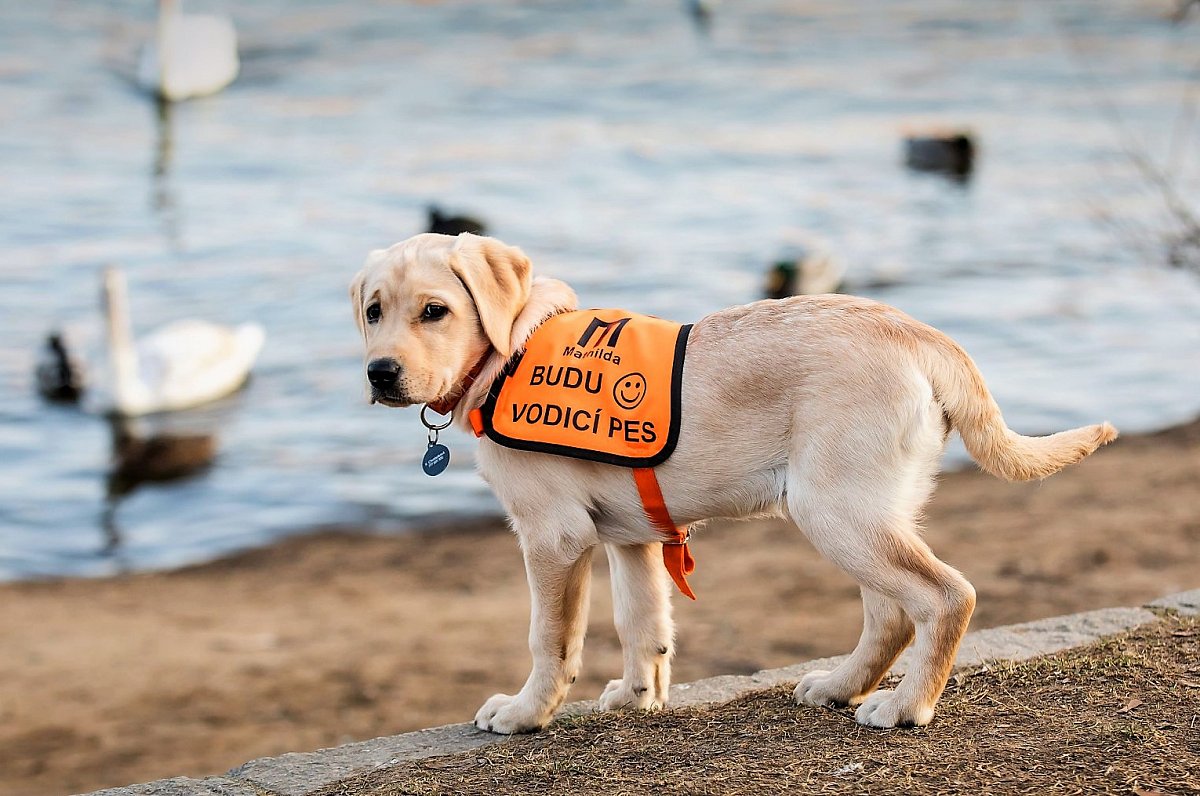 Kdo z vás zvládne 36 cviků?