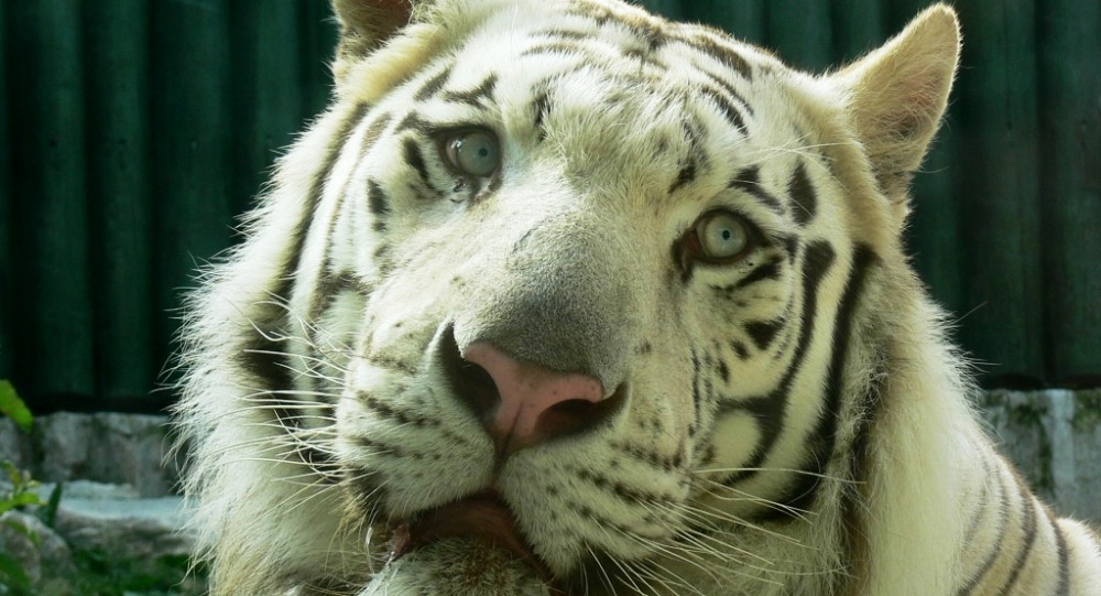 ZOO Liberec zve návštěvníky
na komentované prohlídky
