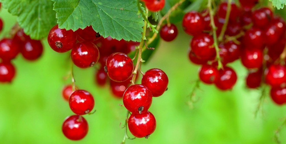 Mikiny nasadit, počasí
už bude spíše chladnější