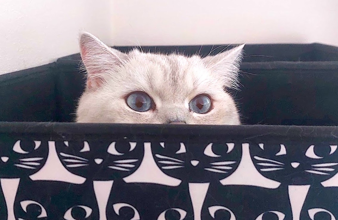 Z mého deníku: Poslední zápis