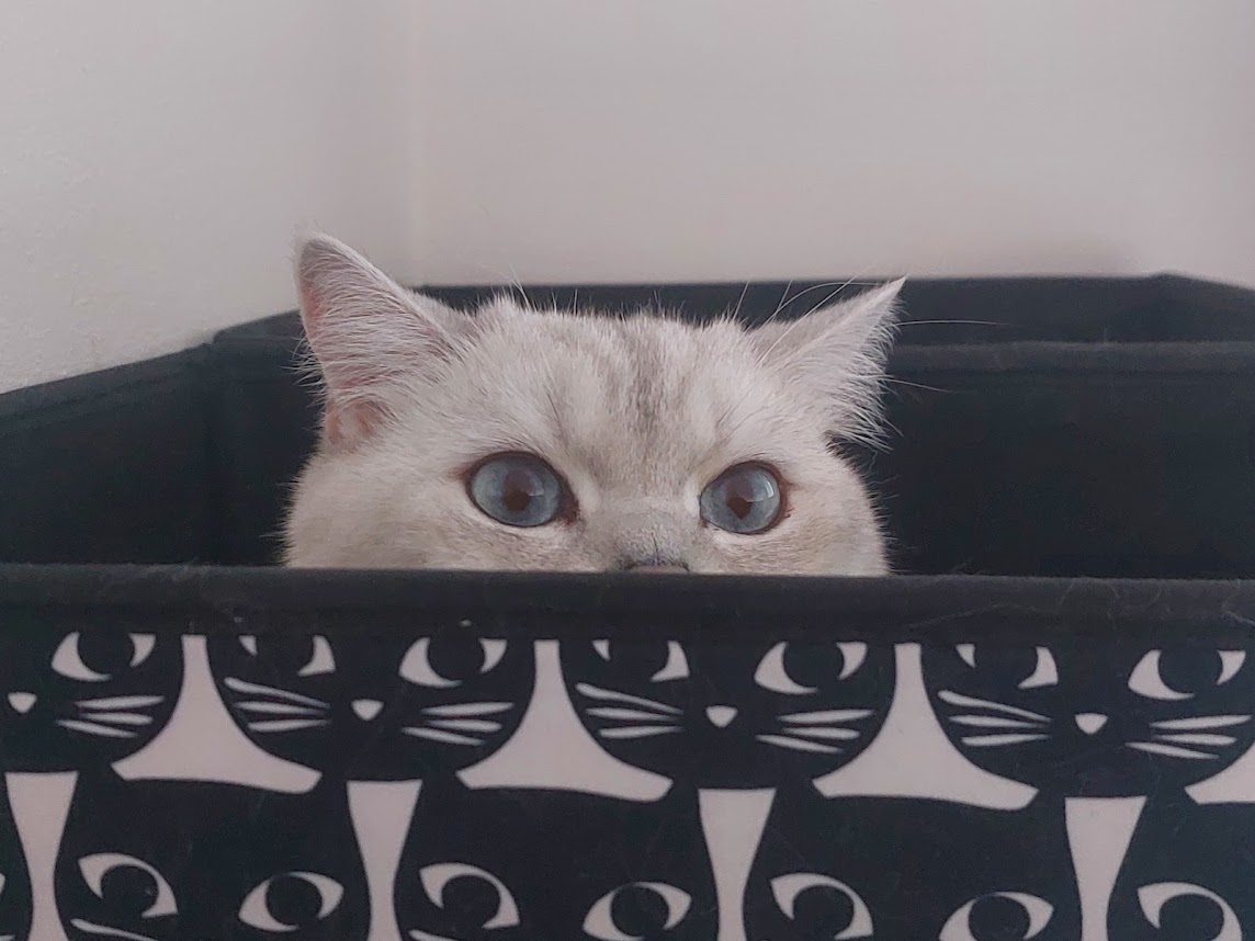 Z mého deníku: Poslední zápis