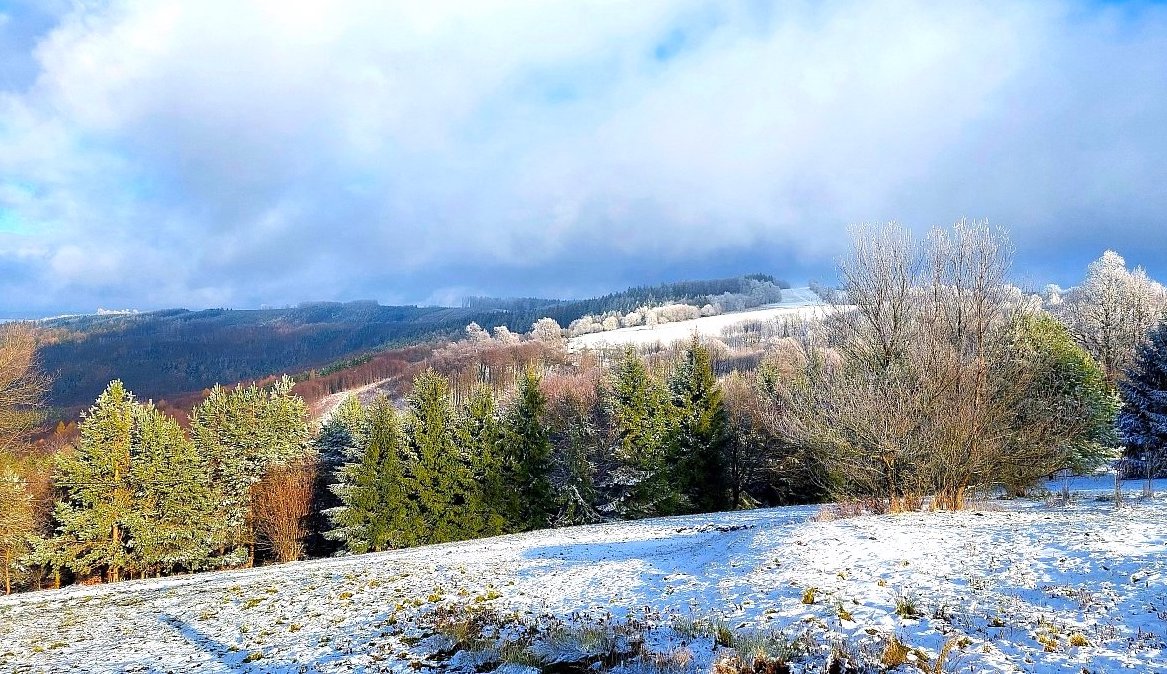 FOTO DNE 2.12.: Dagmar Vargová - Poslední listopadová