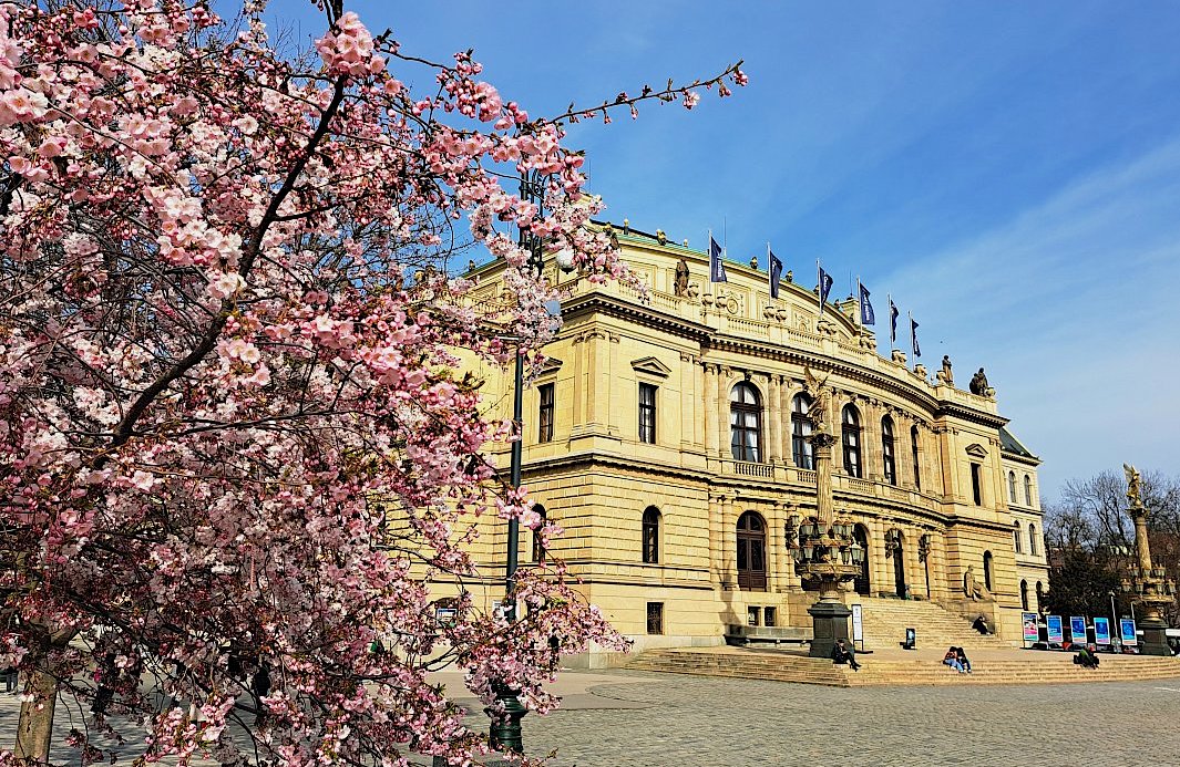 FOTO DNE 29.3.: Pavla Heřmanová - Rudolfinum