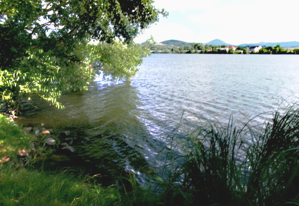 245-2658.jpg
