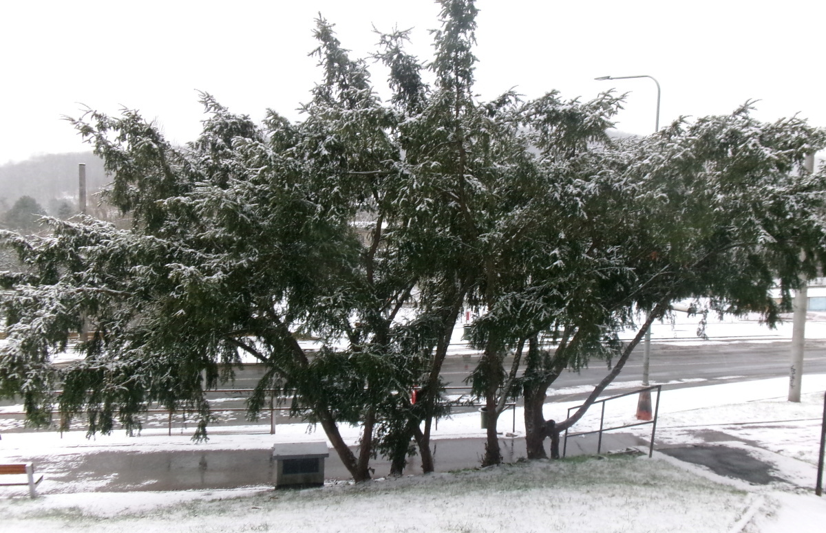 Poslední letošní procházka