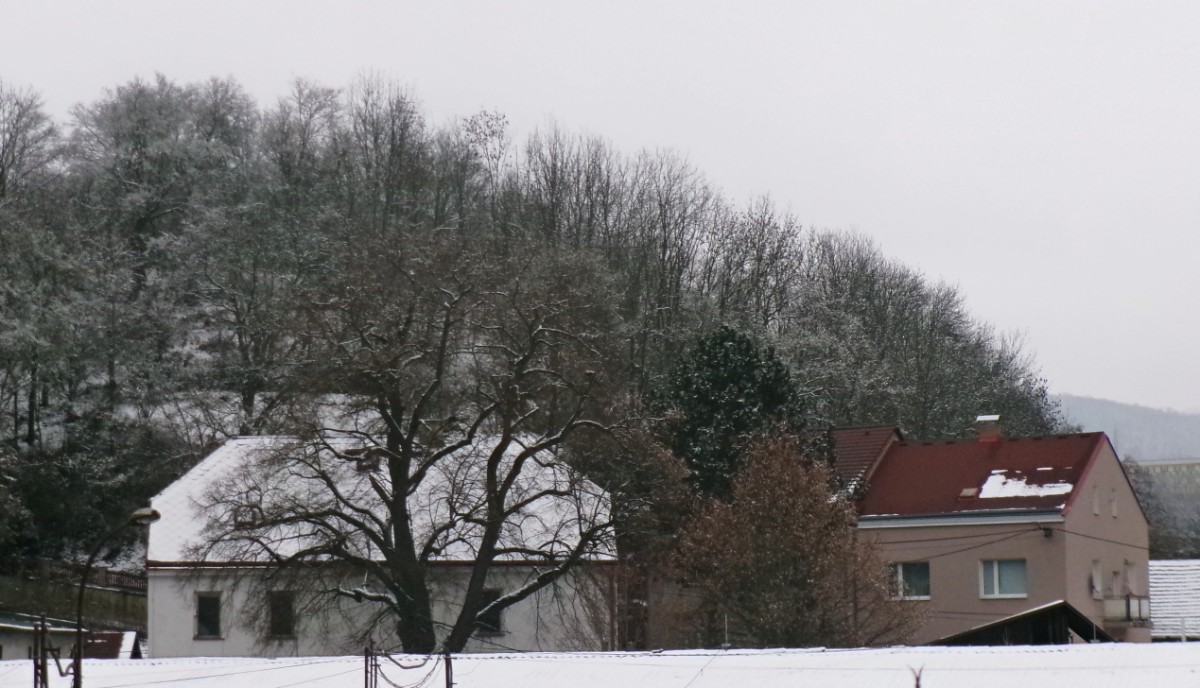 245-5398.jpg