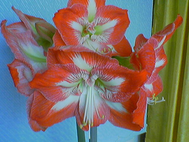 060410_133458.jpg