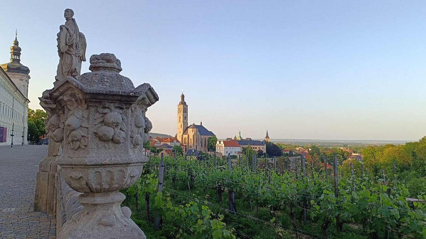 Kutnohorské vinice
