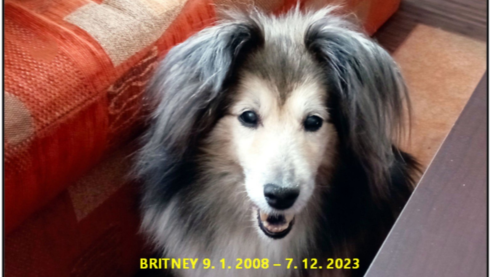 Britney