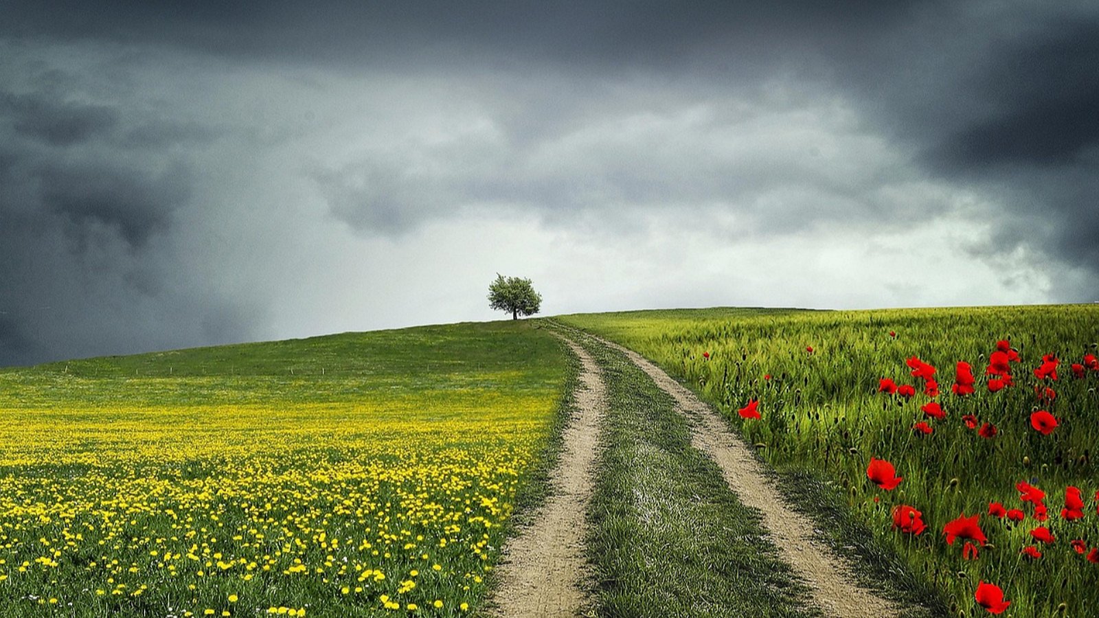 bessi-path-832031-1280.jpeg