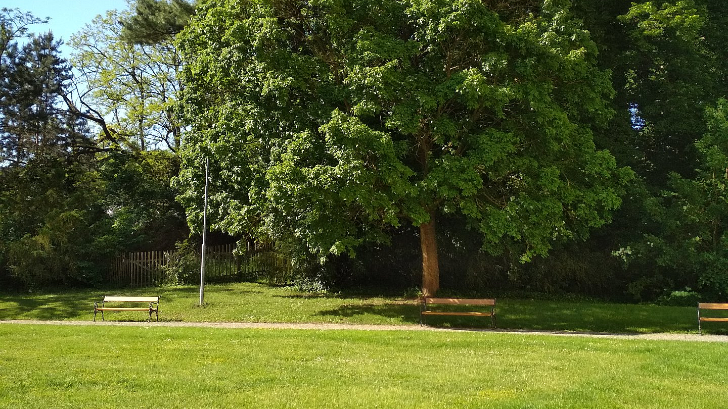 Park byl nádherný