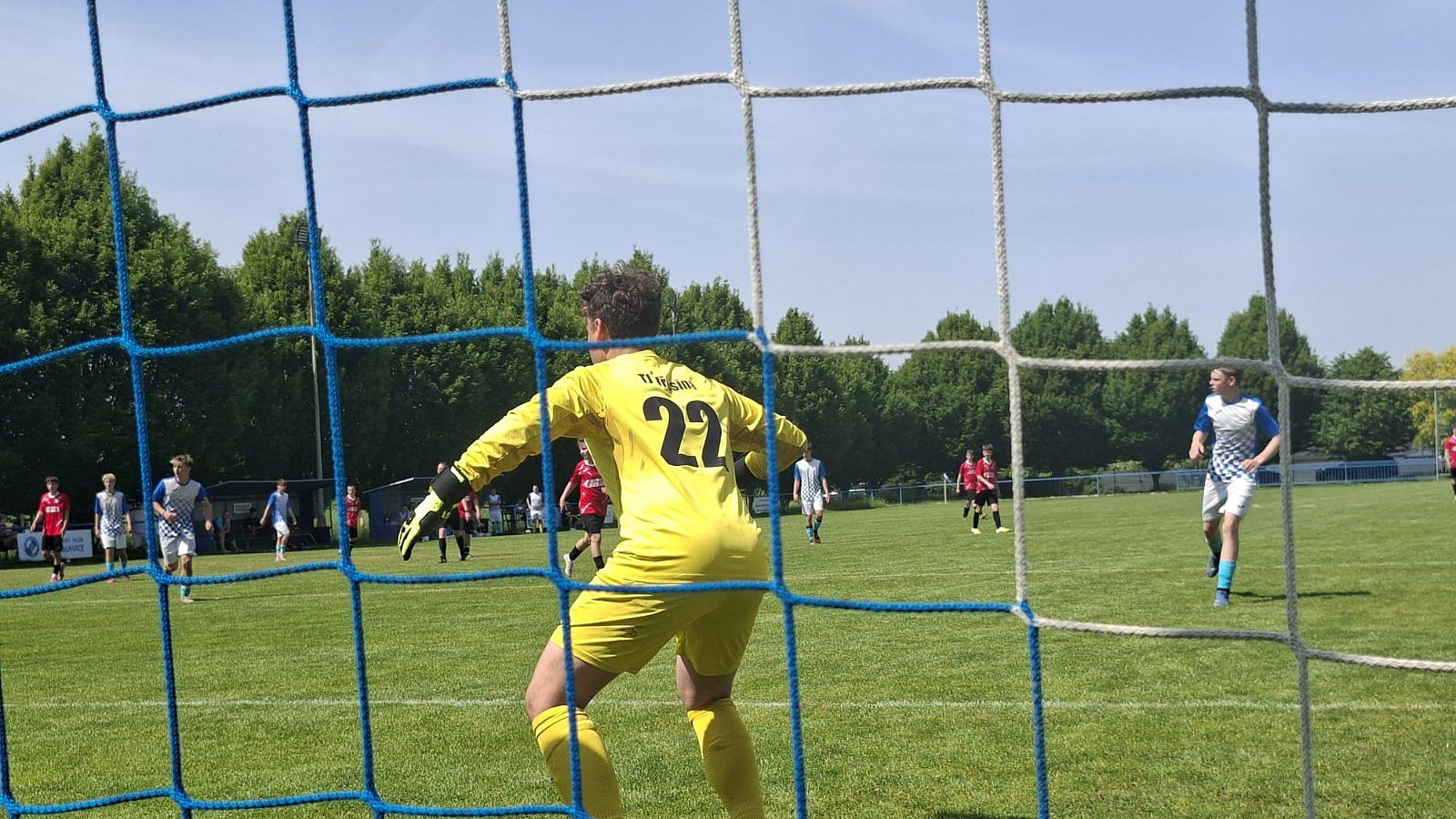 Zelená je tráva, fotbal to je hra ⚽