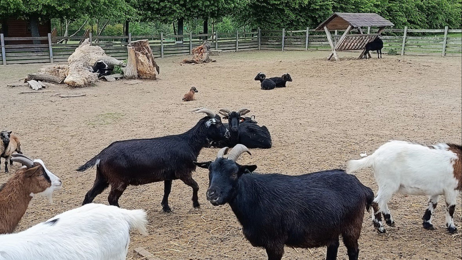 Kozenky na Malevilu