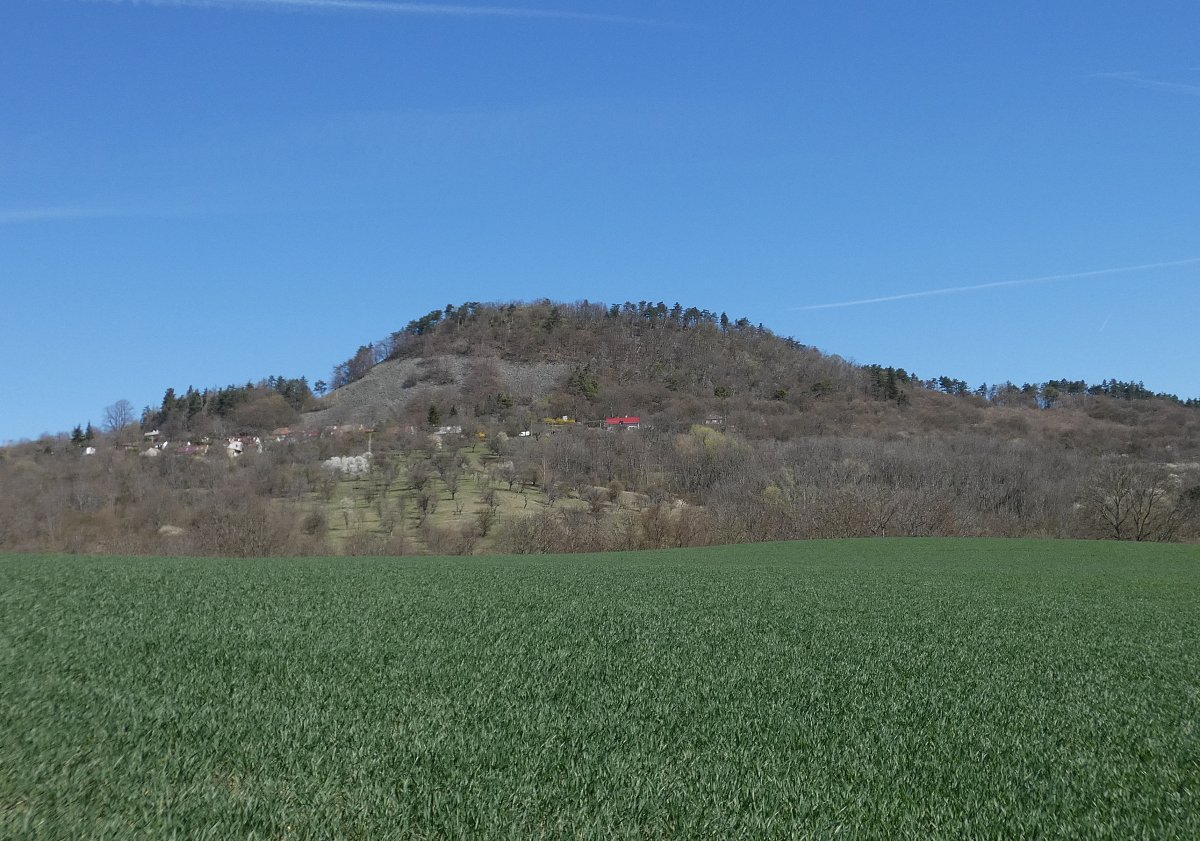 Toulky Českým středohořím - Blešenský vrch