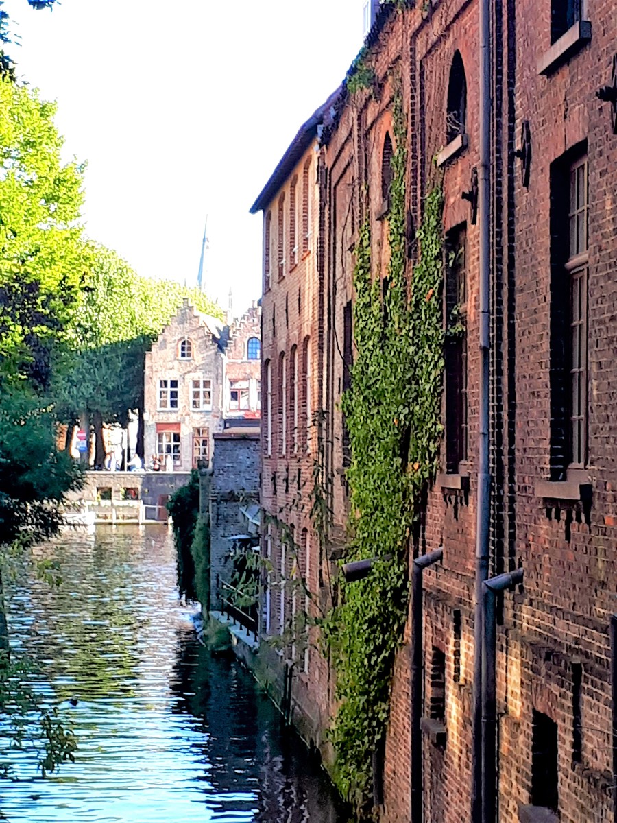 Bruggy