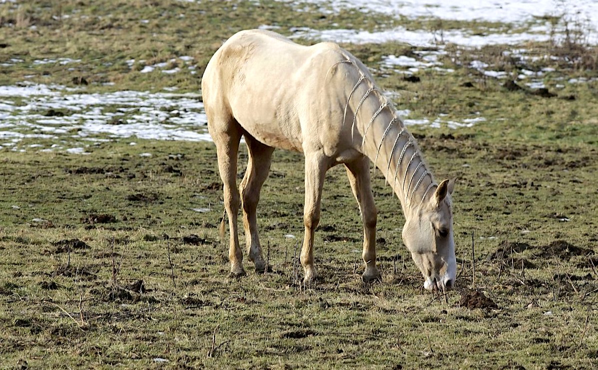 FOTO DNE 14.2.: Anna Čípová - Copánky