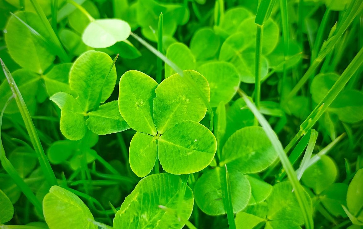 Drclo do mne štěstí. A chci příště zase!