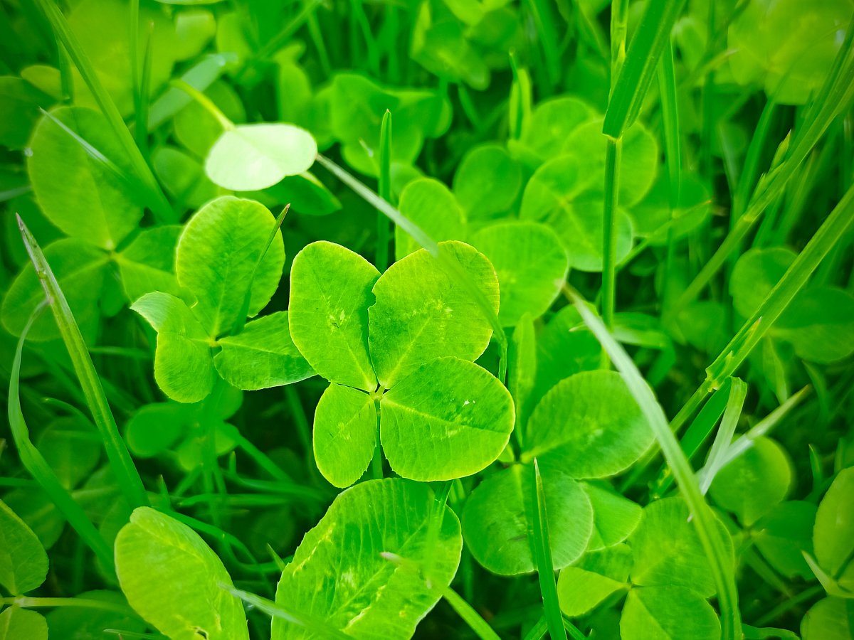 Drclo do mne štěstí. A chci příště zase!