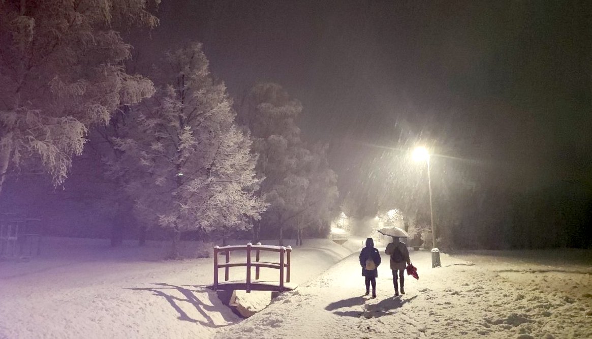 FOTO DNE 29.1.: Soňa Prachfeldová - Jdeme domů