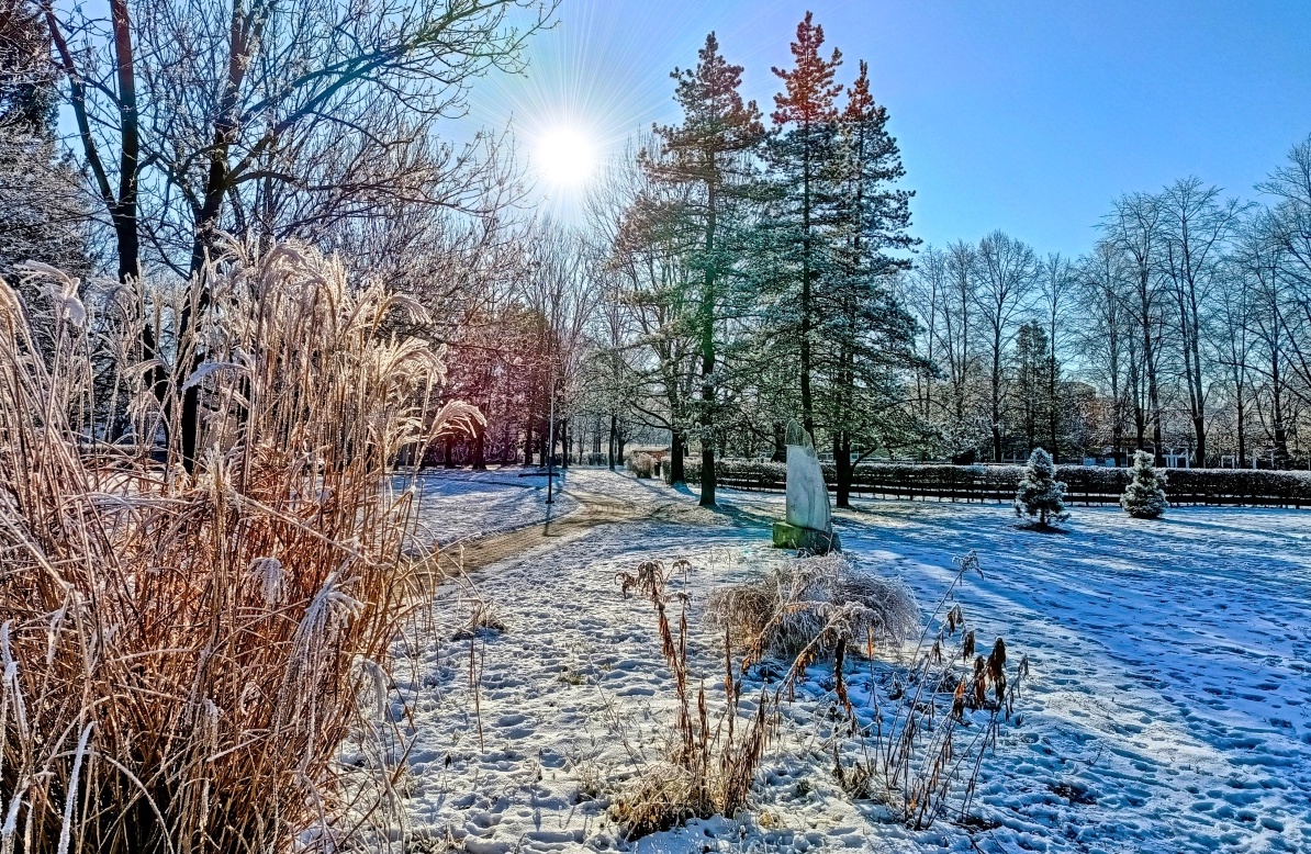 FOTO DNE 1.2.: Šárka Nováková - V parku