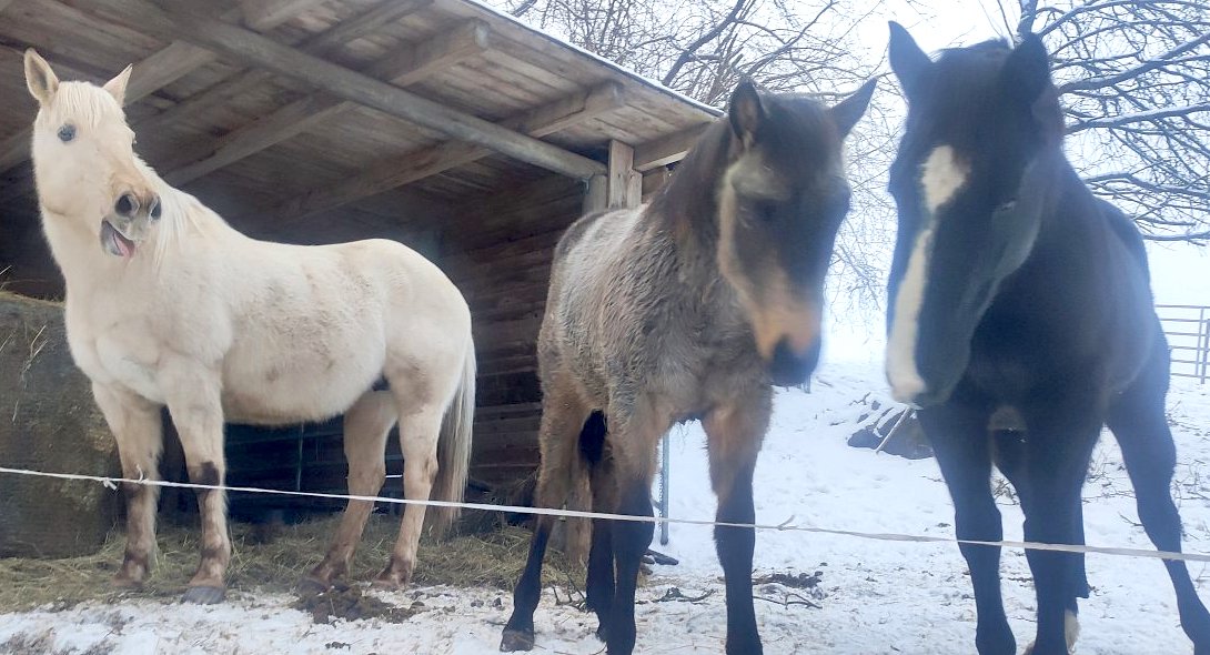 Pořád se něco děje