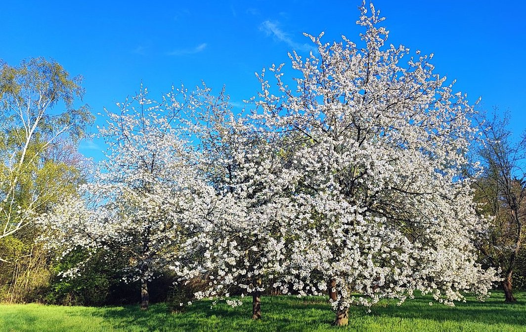 Dubnové povídání