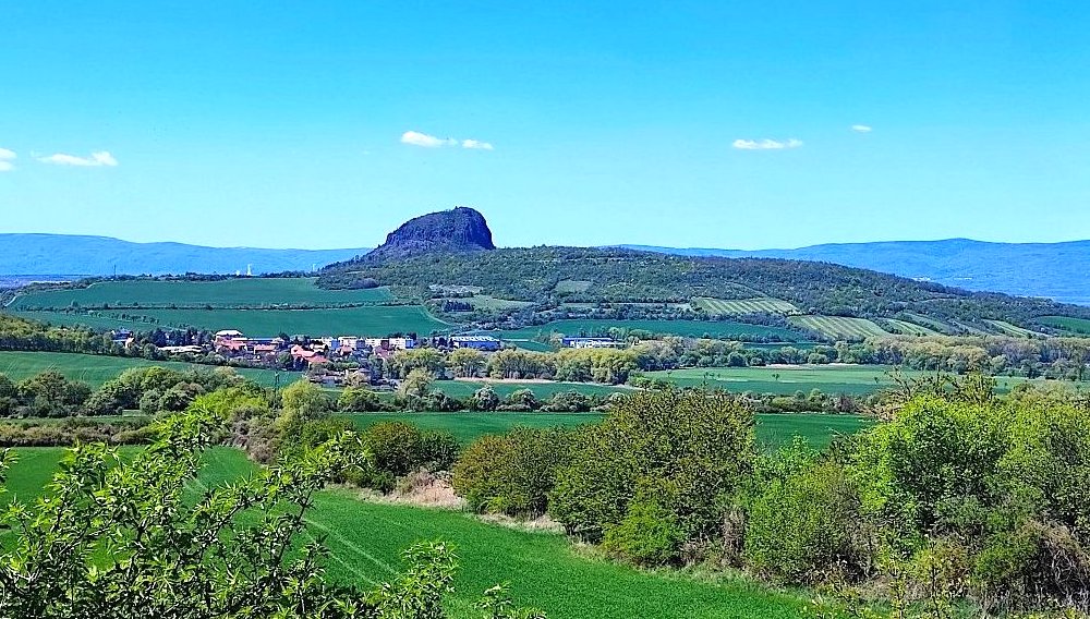FOTO DNE 13.5.: Soňa Prachfeldová - Bořeň