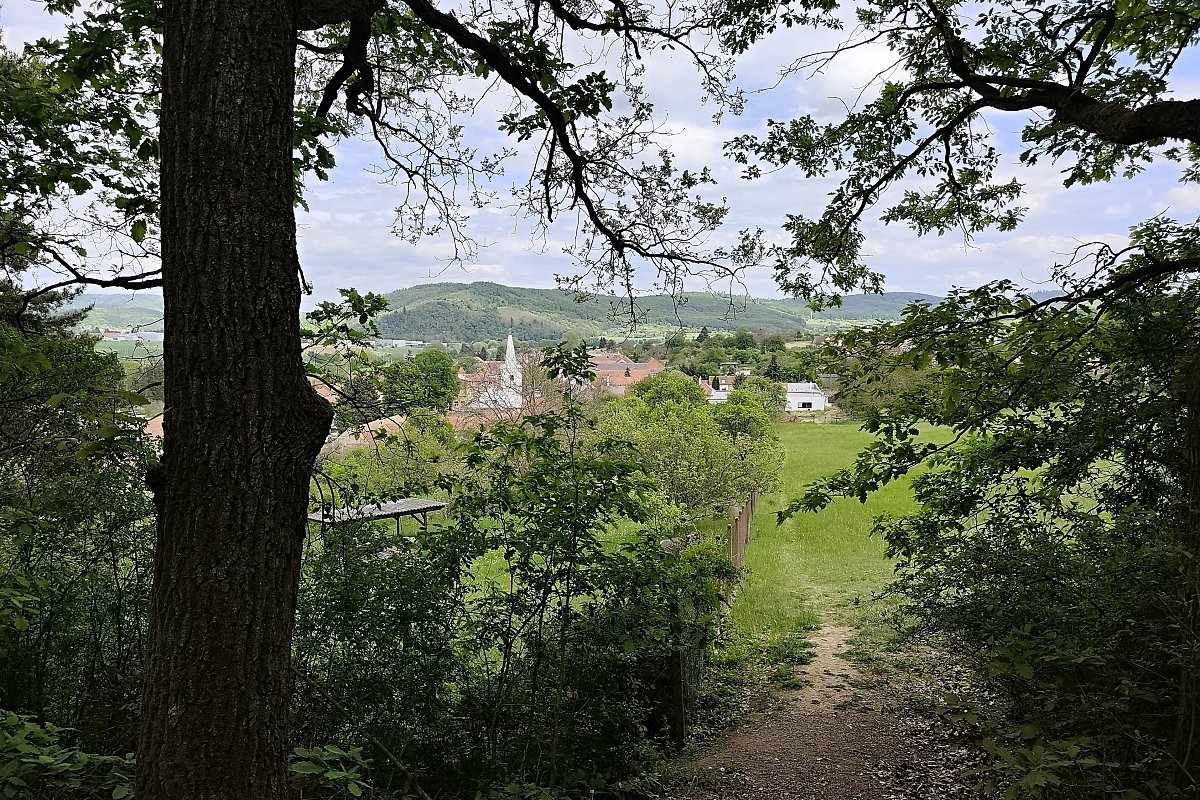Moravské Knínice