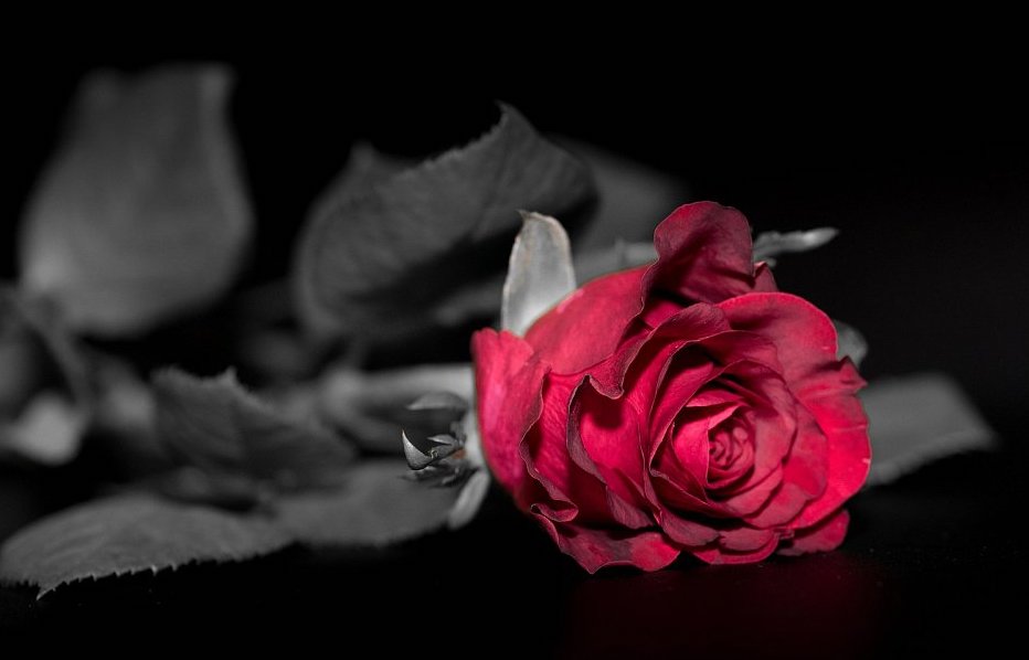 Jak jsem málem plakala na cizím hrobě