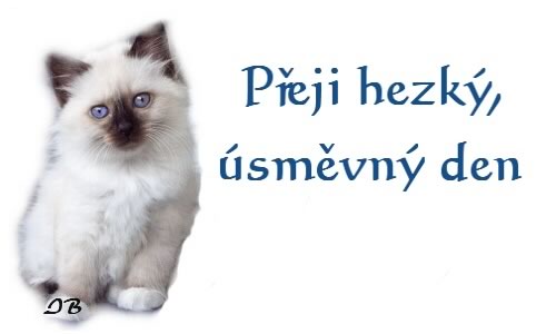 snad pokus,kdo ví
