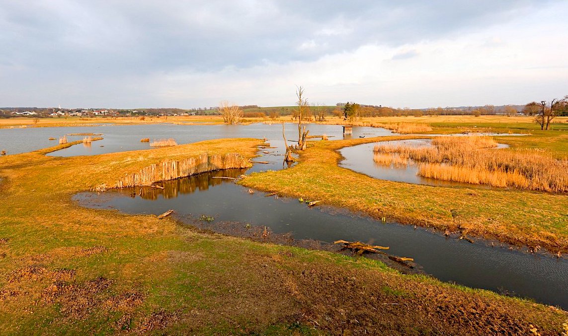 FOTO DNE 23.3.: Eliška Murasová - Kozmické ptačí louky