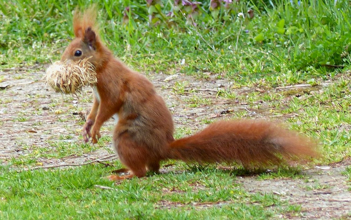 FOTO DNE 25.4.: Anna Potůčková - Koule do hnízda