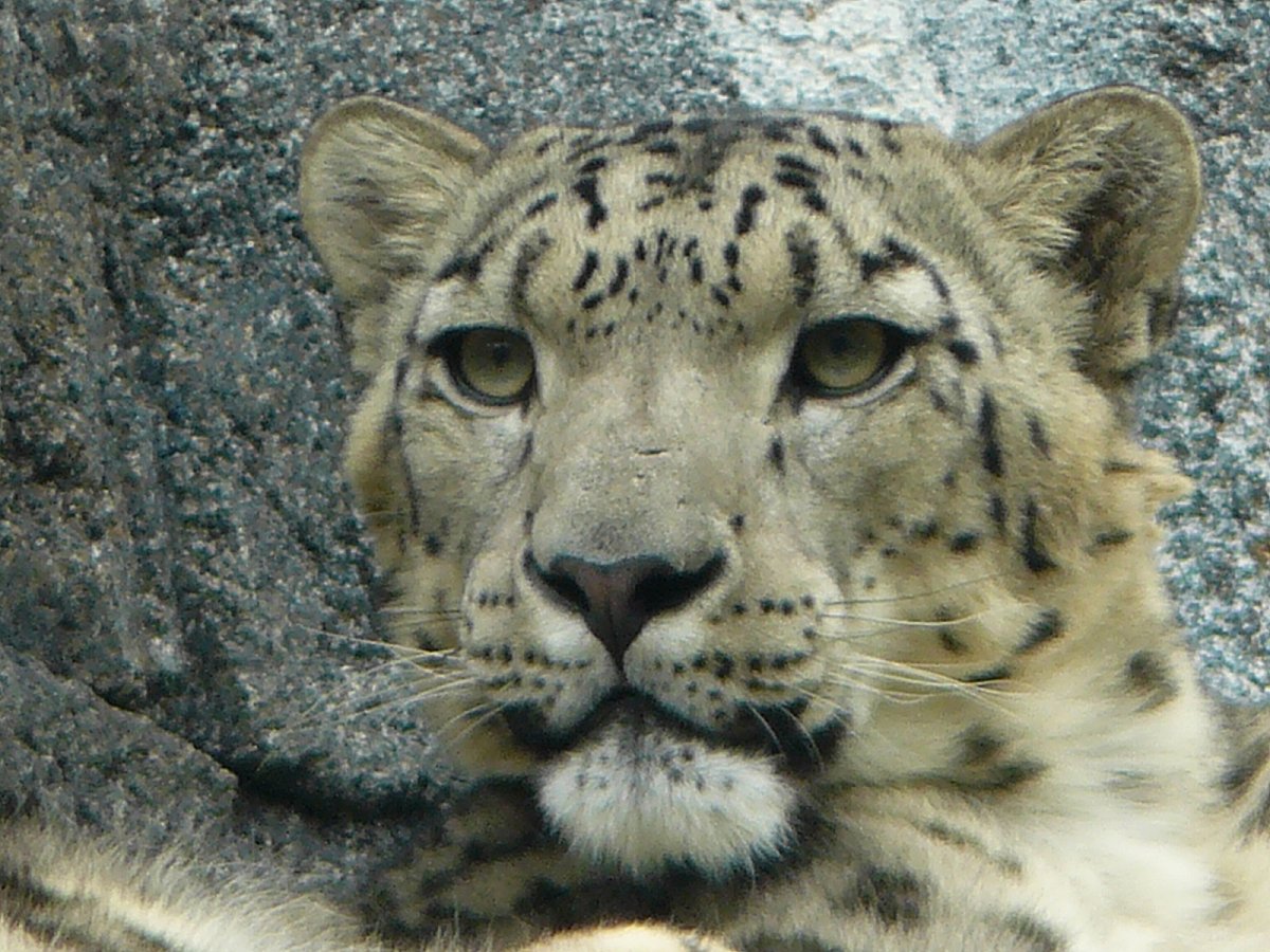 Fotoreportáž: ZOO Lipsko 1 - fauna