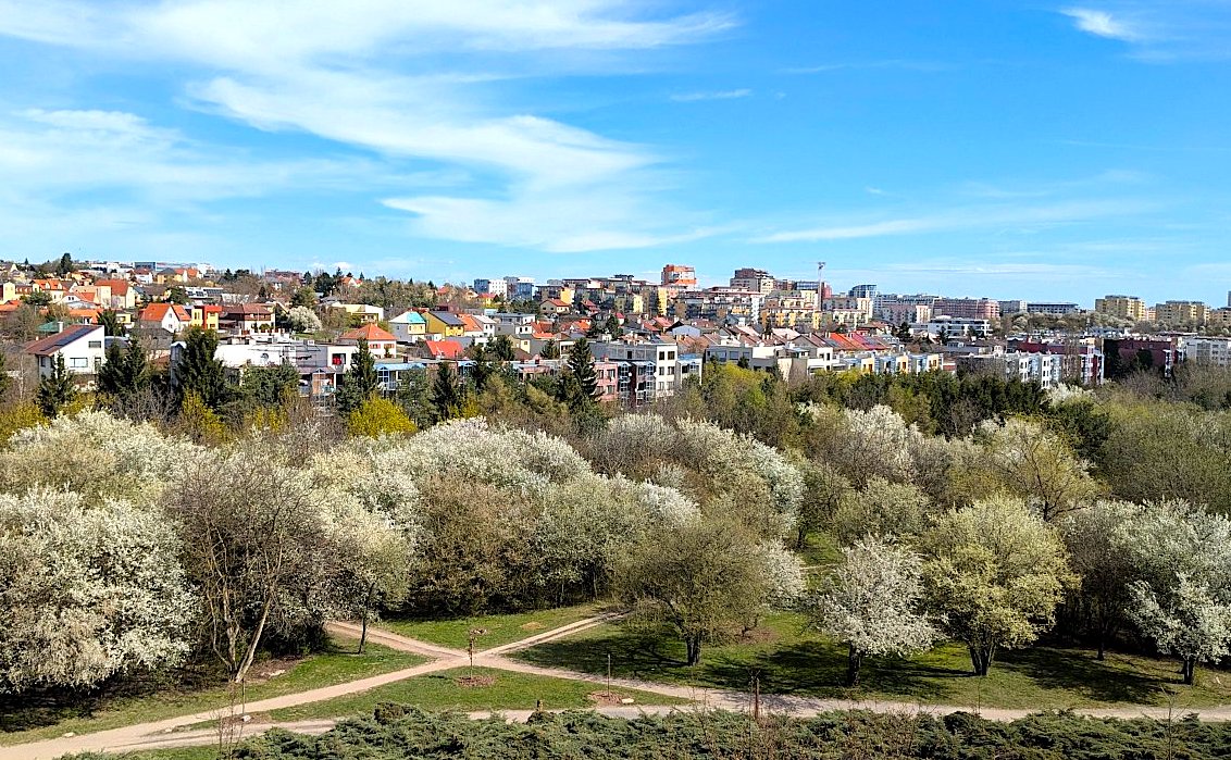 FOTO DNE 12.4.: Irena Mertová - Jaro ve Stodůlkách
