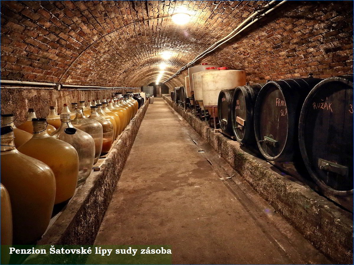 satovske lipy sudy