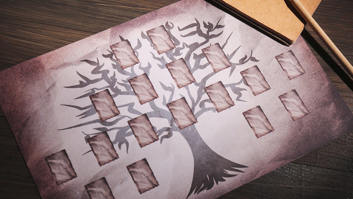 Bádání po tajemství předků: 
Jak si sestavit vlastní rodokmen?