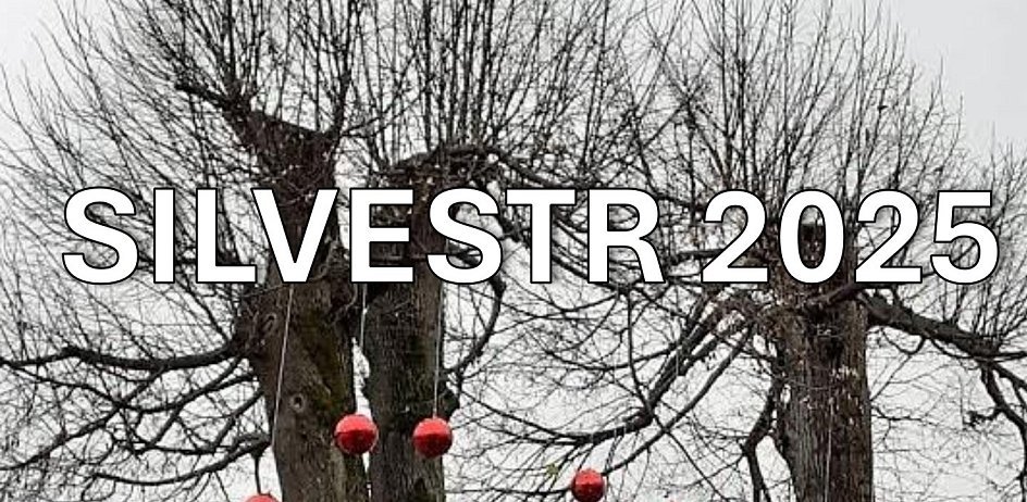 Silvestr, už tu máme zase Silvestr… a co s ním?