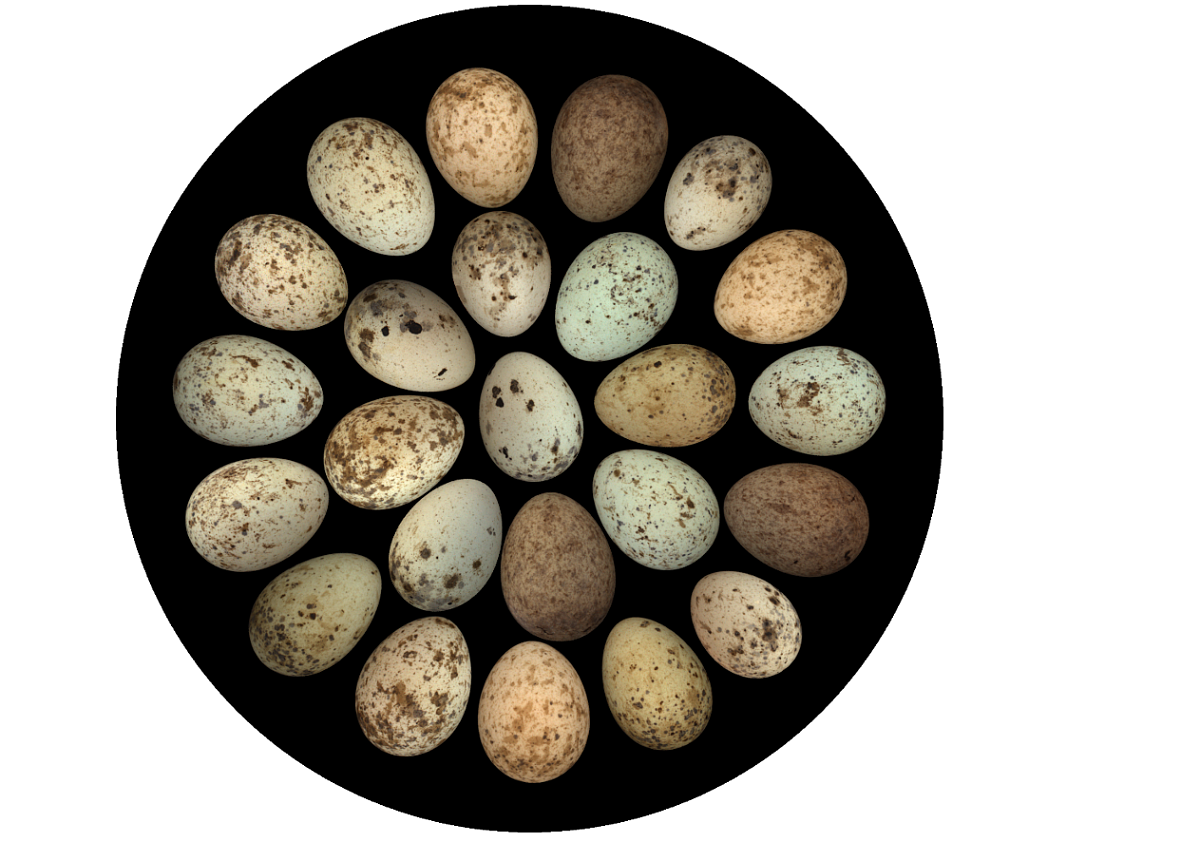 Snímek obrazovky 2025-11-04 v 10.45.11.png