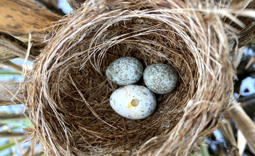 Snímek obrazovky 2025-11-04 v 9.42.34.png