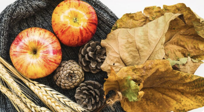 Snímek obrazovky 2025-12-11 v 13.33.59.png