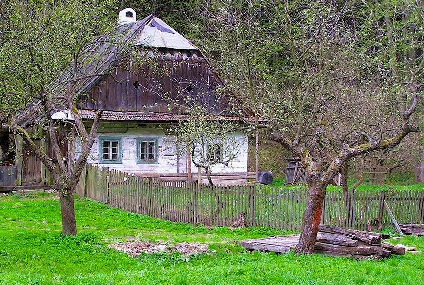 FOTO DNE 5.4.: Marie Měchurová - Jaro se probouzí