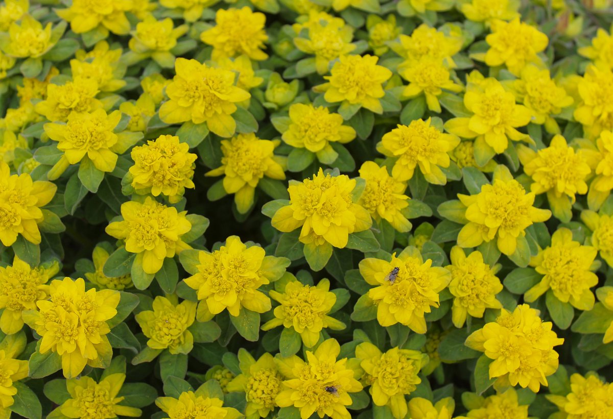 Když tě duben vyvede aprílem, aneb důvěřuj, ale prověřuj