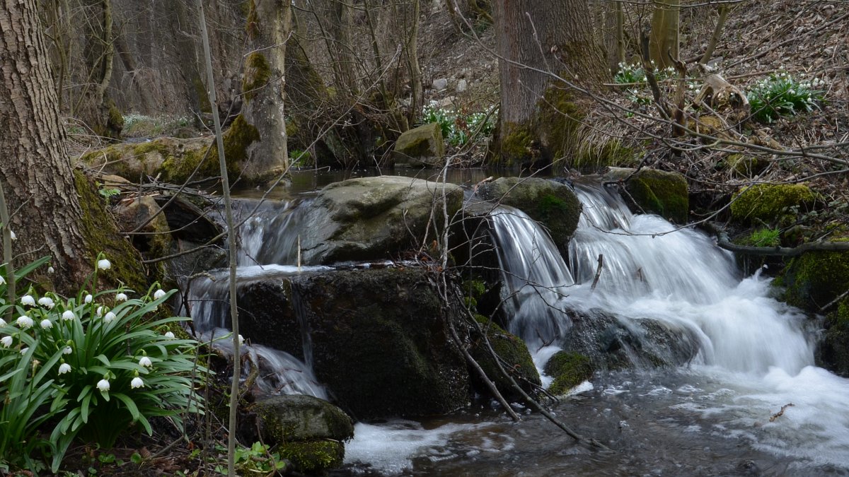 Vítězové soutěží o vodě. Tady jsou.