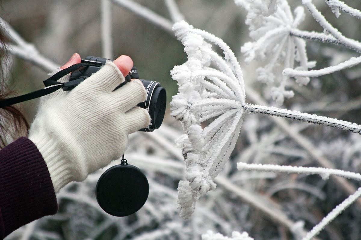 Vítěze fotosoutěže vyhlásíme tuto neděli