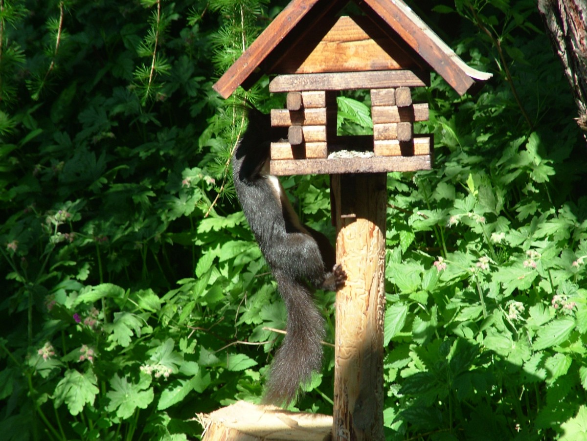 dscf7538.jpg