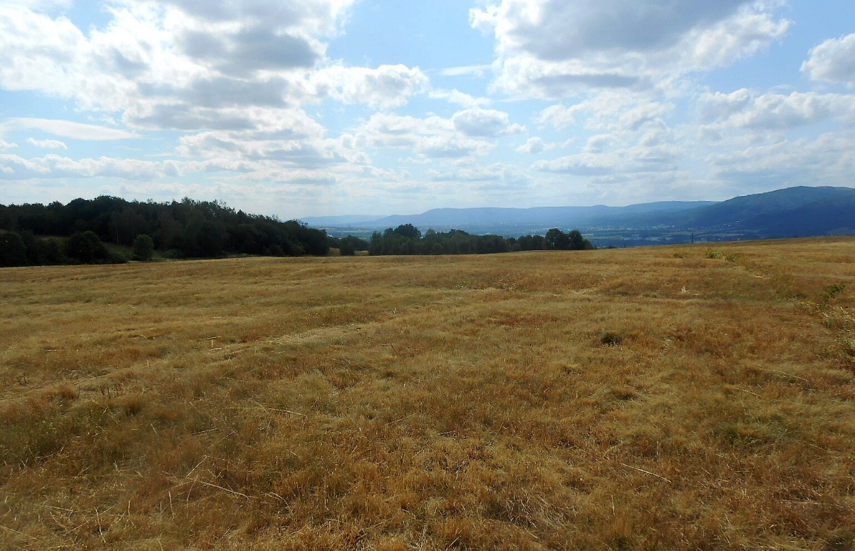 dscn1182-a.jpg