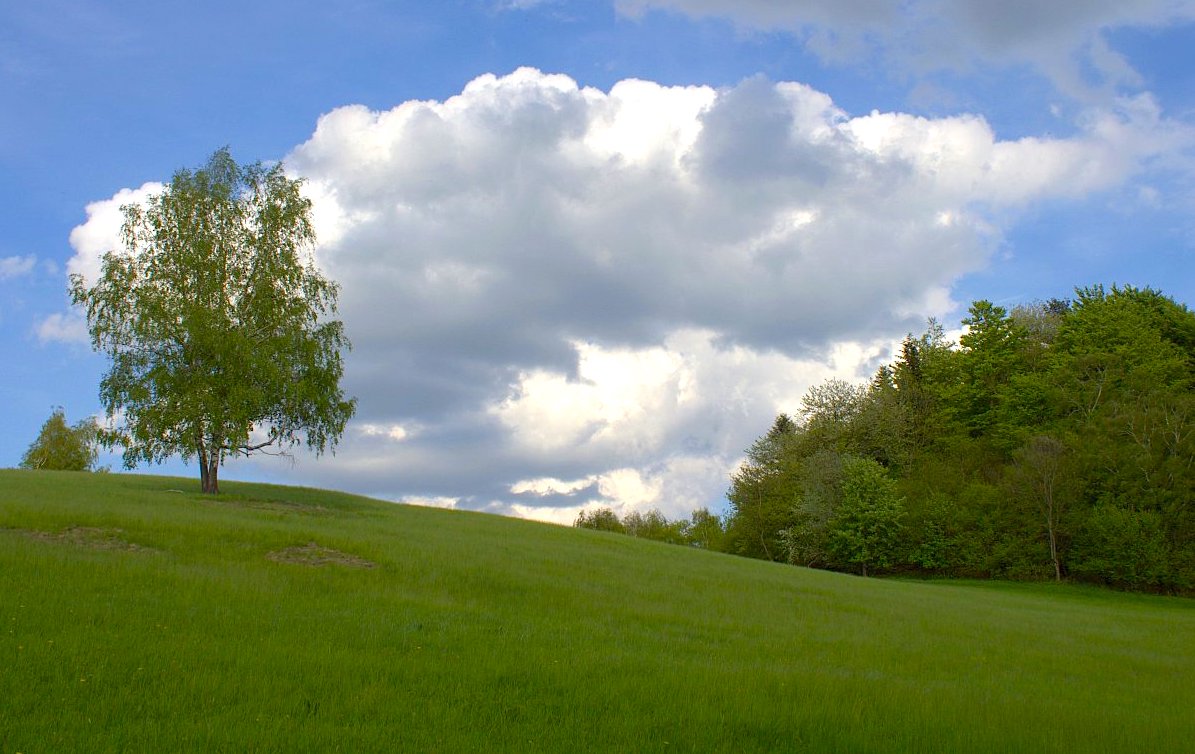 FOTO DNE 26.4.: Marie Měchurová - Jaro v Hostýnských horách