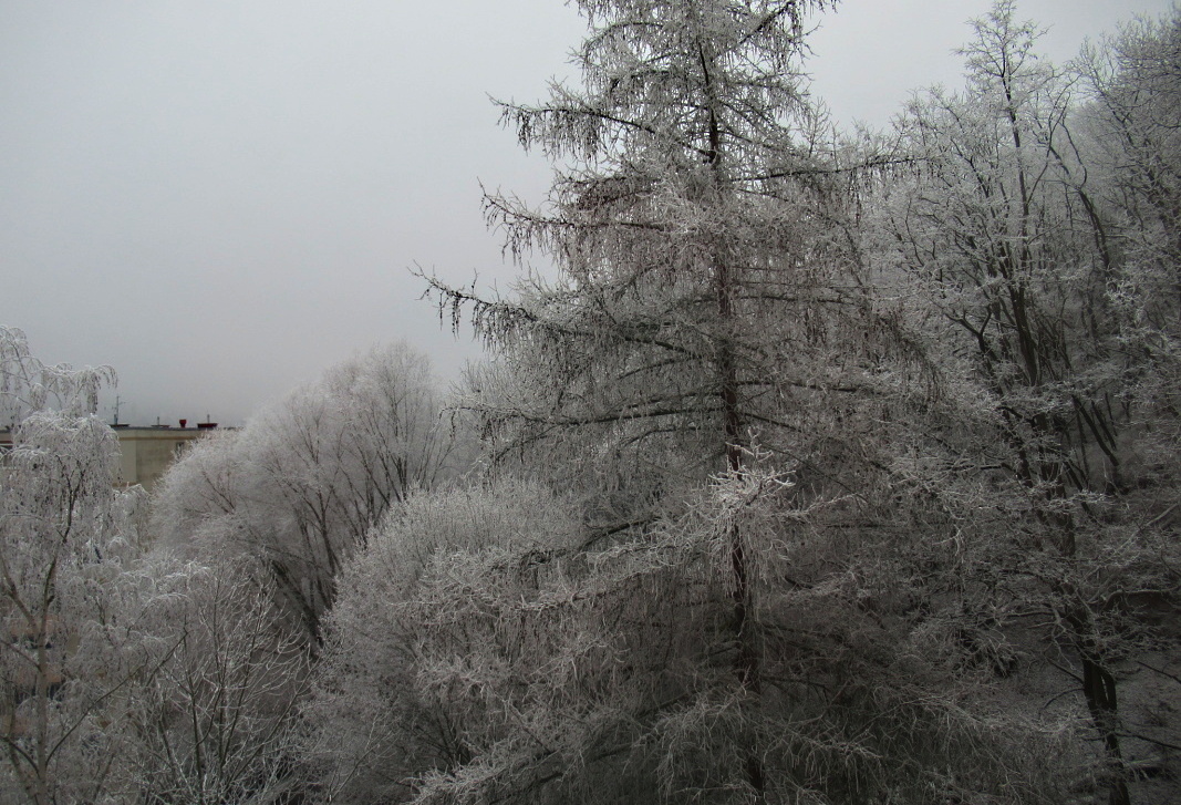 img-5305.jpg