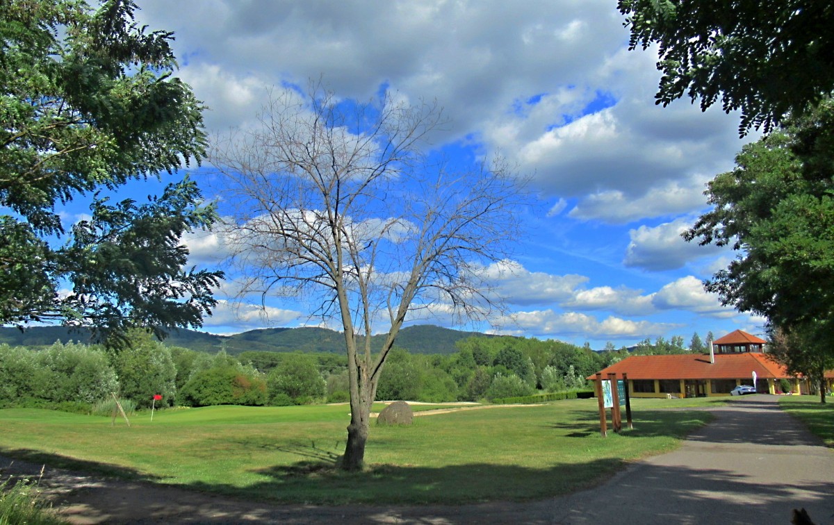 img-6998.jpg